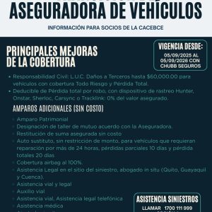 WhatsApp Image 2025-12-11 at 18.11.15